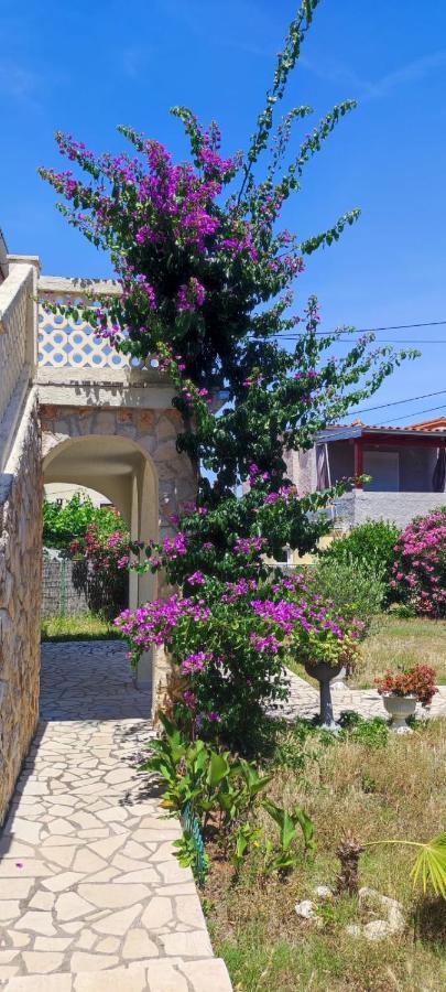 Villa Kadinela, 200M From Kamenjak, Huge Quiet Garden With Barbecue, 2 New Kitchens Premantura Exterior photo
