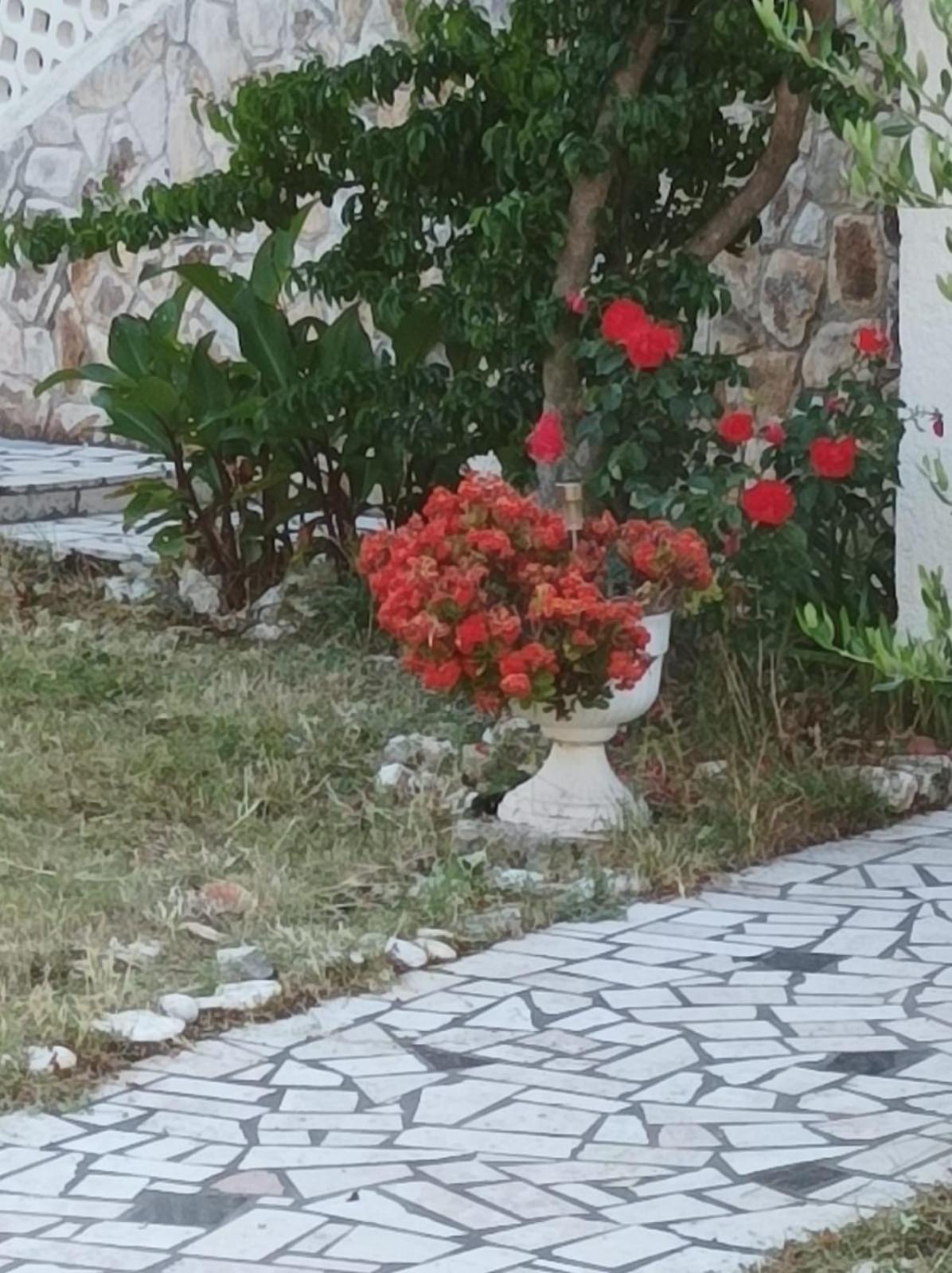 Villa Kadinela, 200M From Kamenjak, Huge Quiet Garden With Barbecue, 2 New Kitchens Premantura Exterior photo